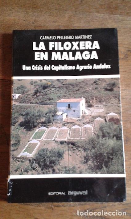 books: LA FILOXERA EN M&Aacute;LAGA. Una crisis del capitalismo agrario andaluz - CARMELO PELLEJERO MART&Iacute;NEZ