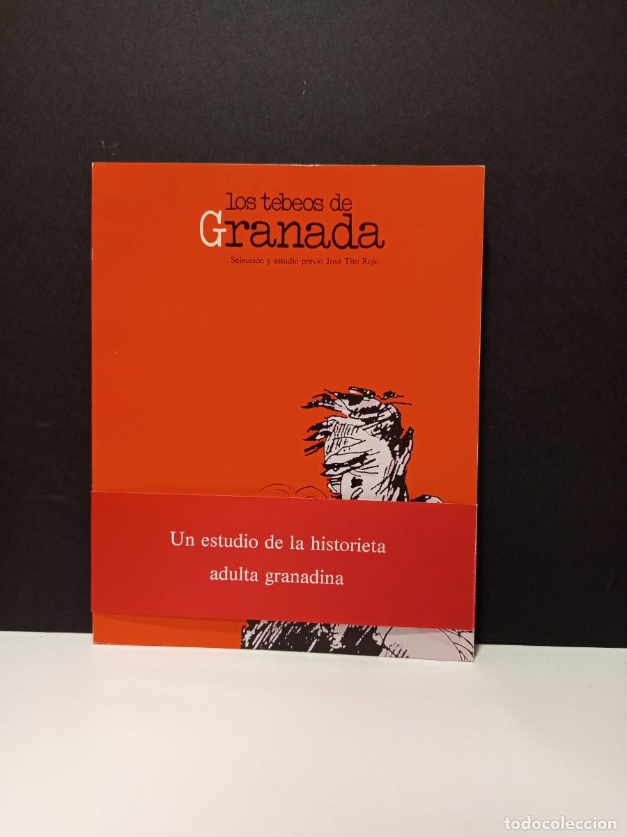 B&uuml;cher: LOS TEBEOS DE GRANADA (1984)