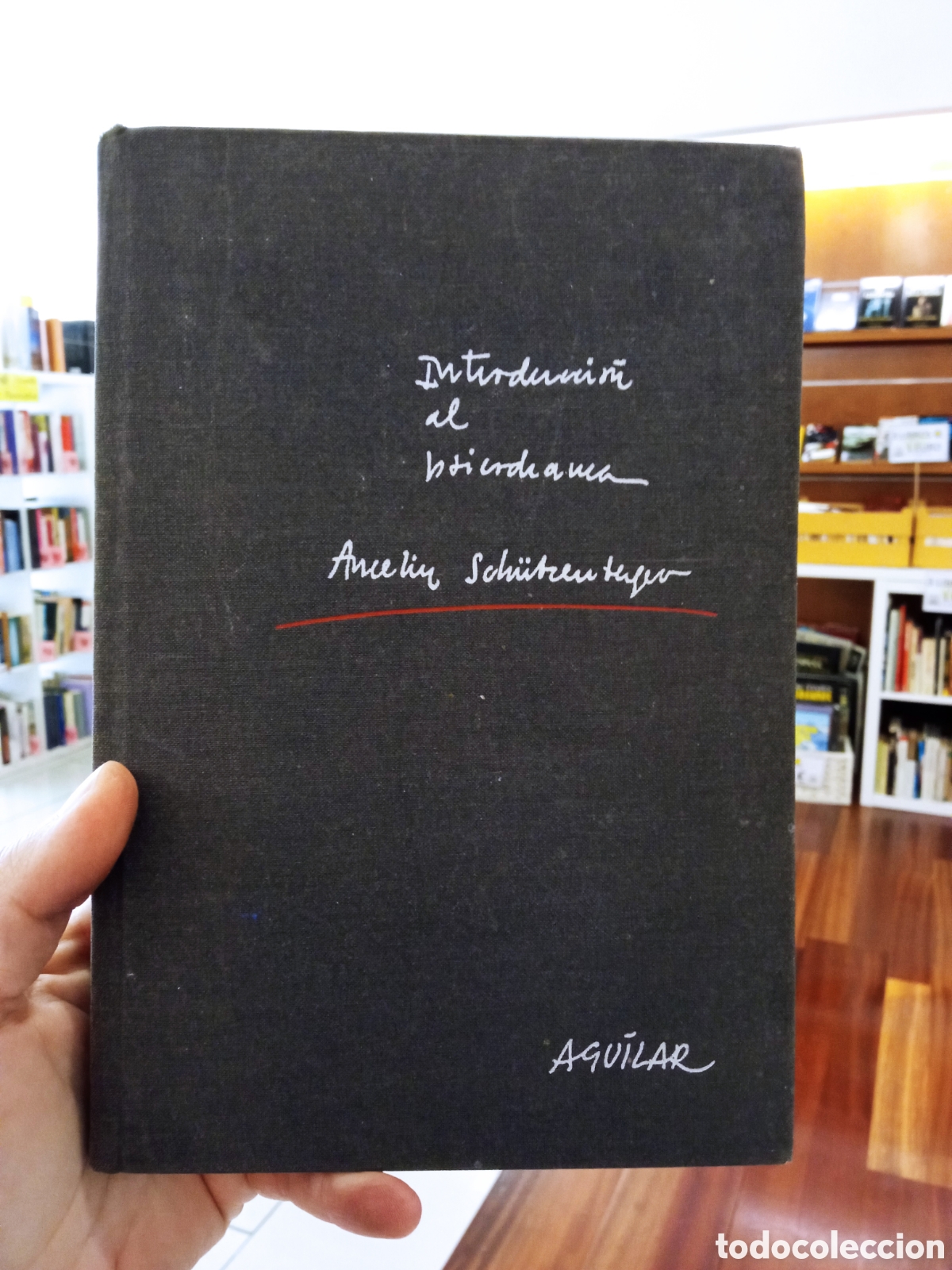 Libros: INTRODUCCI&Oacute;N AL PSICODRAMA EN SUS ASPECTOS T&Eacute;CNICOS. ANNE ANCELIN SCHUTZENBERGER. AGUILAR, 70