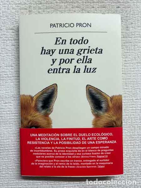 Livros em segunda m&atilde;o: En todo hay una grieta y por ella entra la luz - Patricio Pron