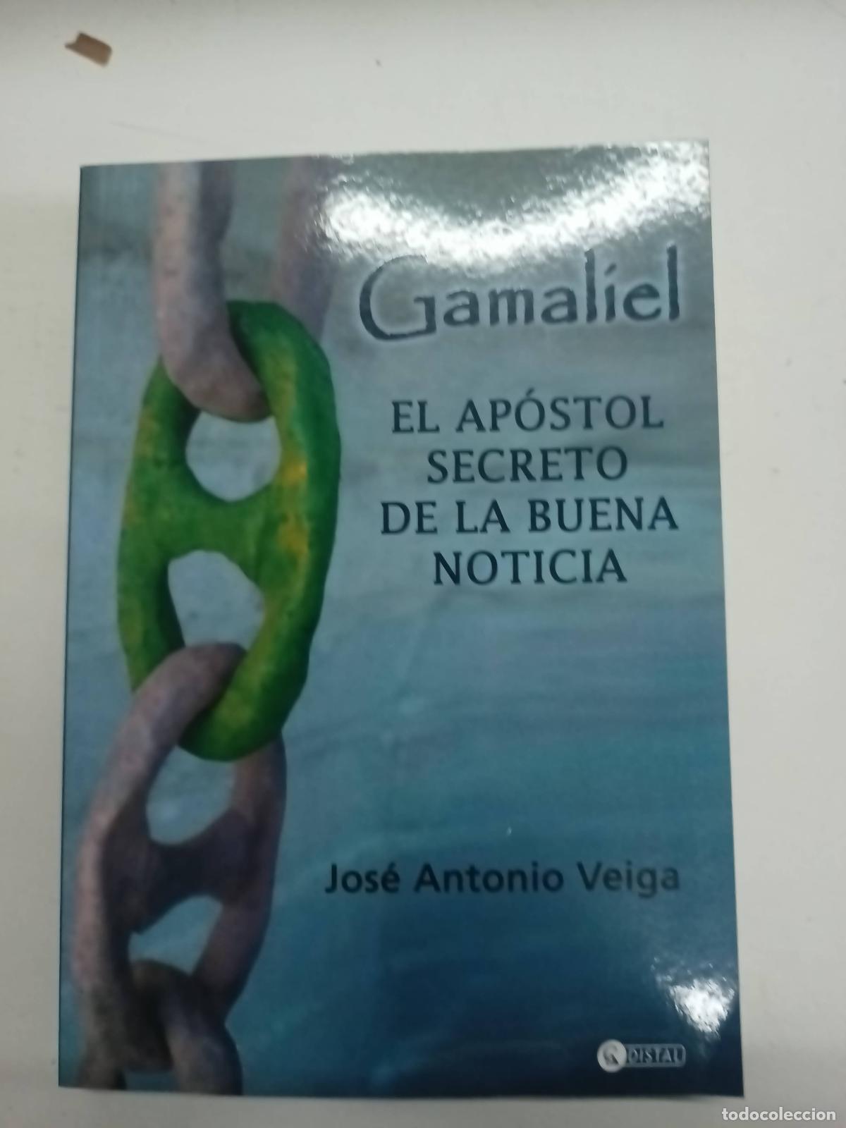 Libri di seconda mano: Diccionario Cr&iacute;tico De Los A&ntilde;os 70 - Gustavo Noriega - Gustavo Noriega