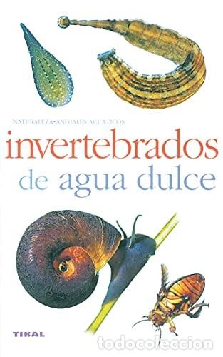 books: El complot contra los escipiones y otros relatos - Valerio Massimo Manfredi