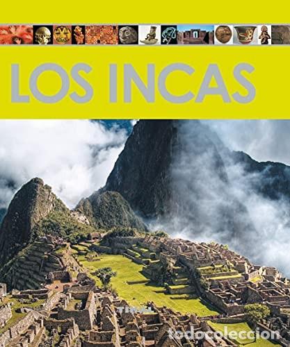 books: El loco - Mercedes Vigil