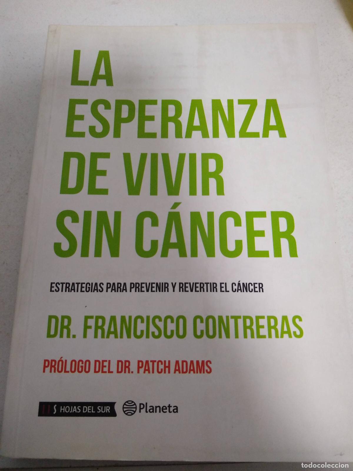 Livres: Palindromero - Valent&iacute;n Rinc&oacute;n