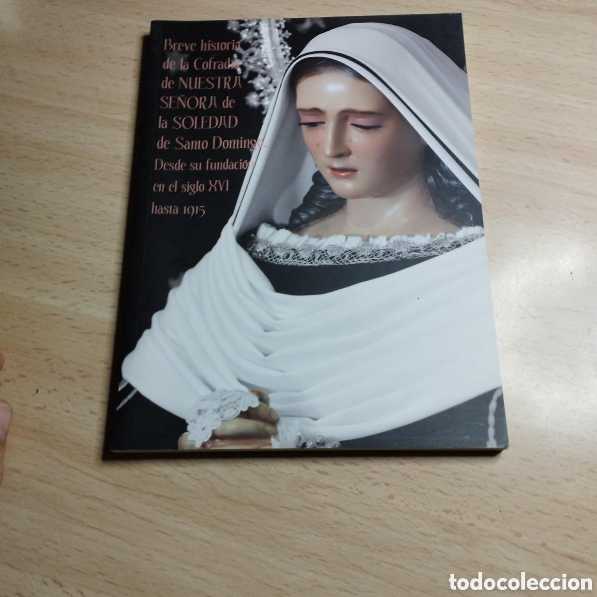 Libros: Breve historia de la Cofrad&iacute;a de Nuestra Se&ntilde;ora de la Soledad de Santo Domingo (XVI- 1915).La Saeta