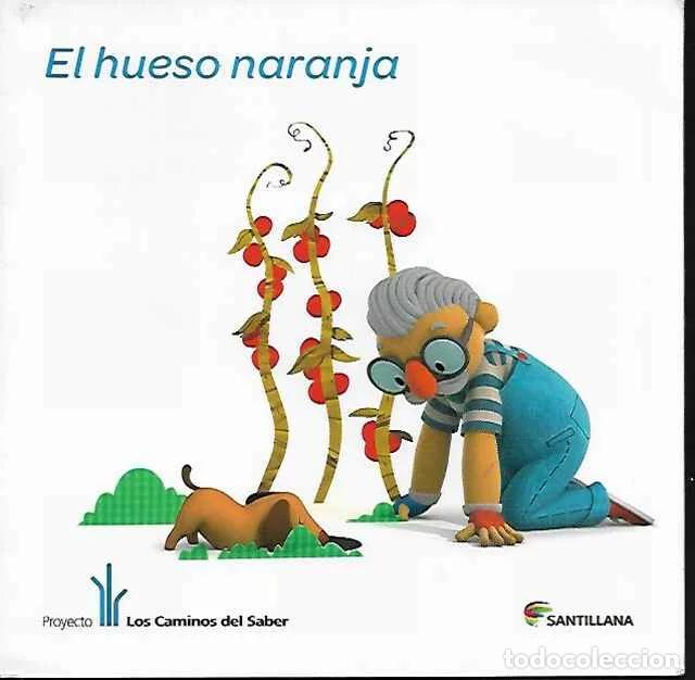 Libros: El hueso naranja - Inmaculada D&iacute;az - Foto 1