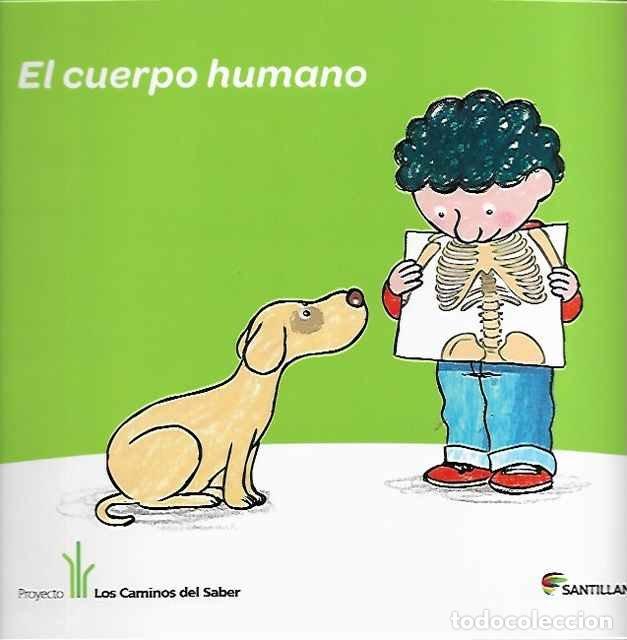 Libros: El cuerpo humano - Pablo Schmilovich