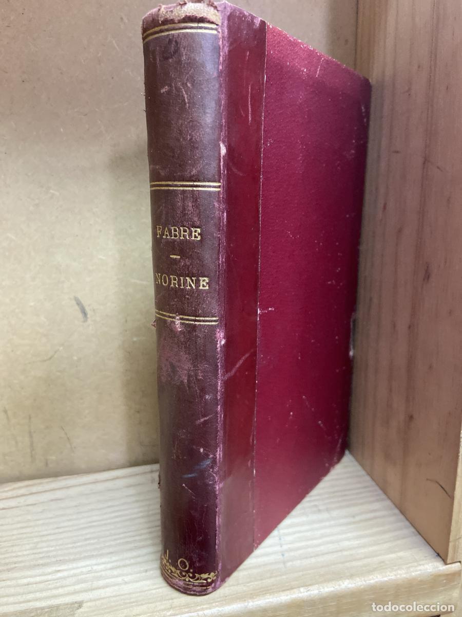 Libros: NORINE - Ferdinand Fabre