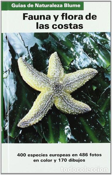 Livros em segunda m&atilde;o: Fauna y flora de las costas- 9788480760003