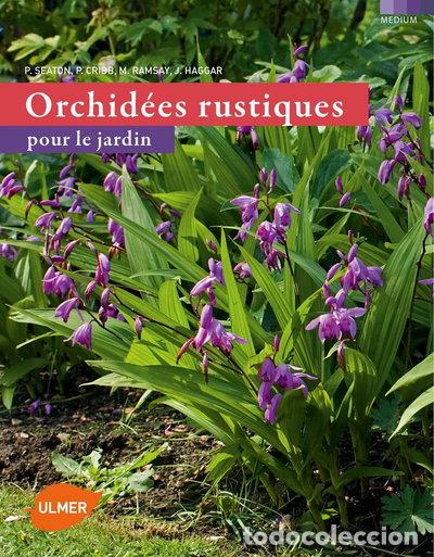 Libros: Orchid&eacute;es rustiques pour le jardin- 9782841386253