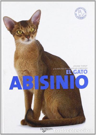 Libros: El gato abisinio- 9788431538156