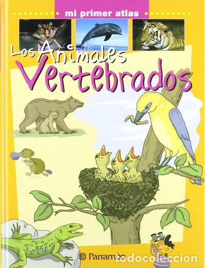 Libri di seconda mano: Los animales vertebrados- 9788434227118