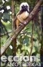Libros: Bosque Seco Tropical Colombia- 9799589674979