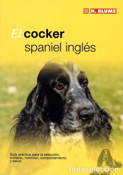 Libros: El cocker spaniel ingl&eacute;s- 9788489840782
