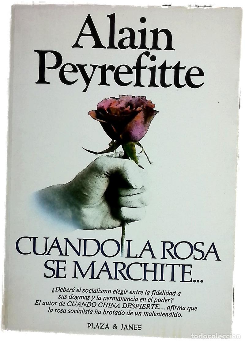Libri di seconda mano: Cuando la rosa se marchite... del equ&iacute;voco a la esperanza