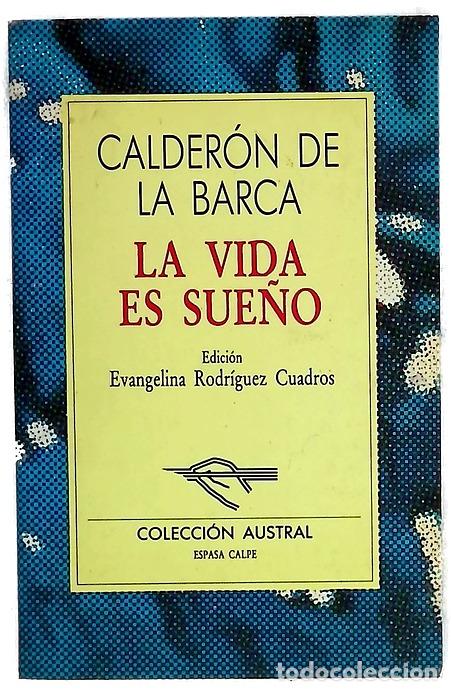 Libri di seconda mano: La vida es sue&ntilde;o - Calder&oacute;n de la Barca, Pedro; Rodr&iacute;guez Cuadros, Evangelina