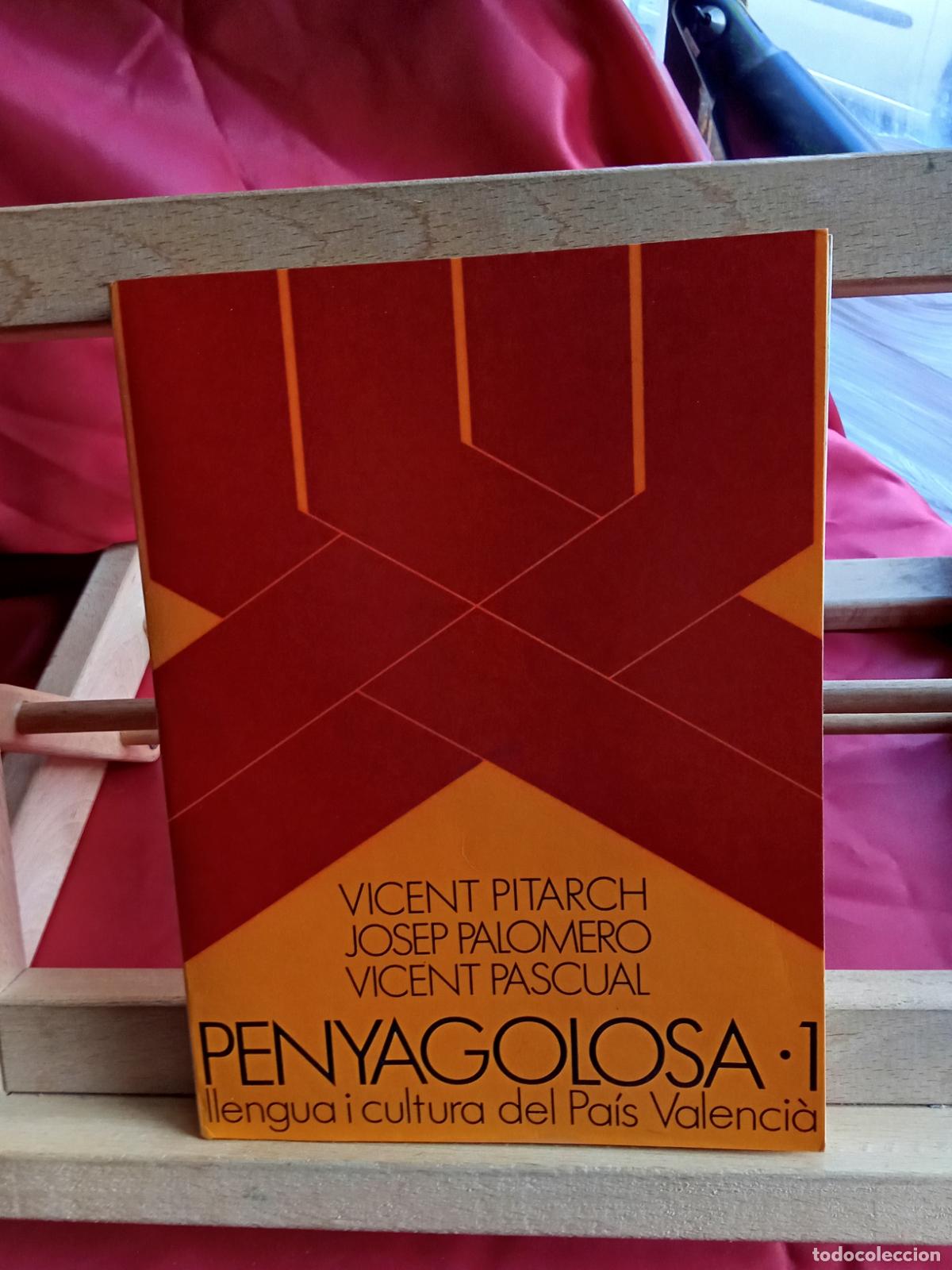 Libros: Penyagolosa 1. Vicent Pitarch, Josep Palomer y Vicent Pascual L.4349-217