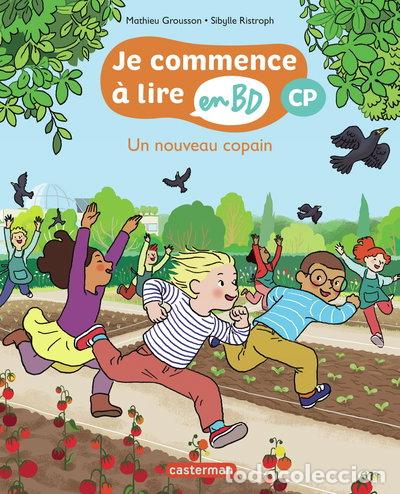 Libros: Un nouveau copain- 9782203300255