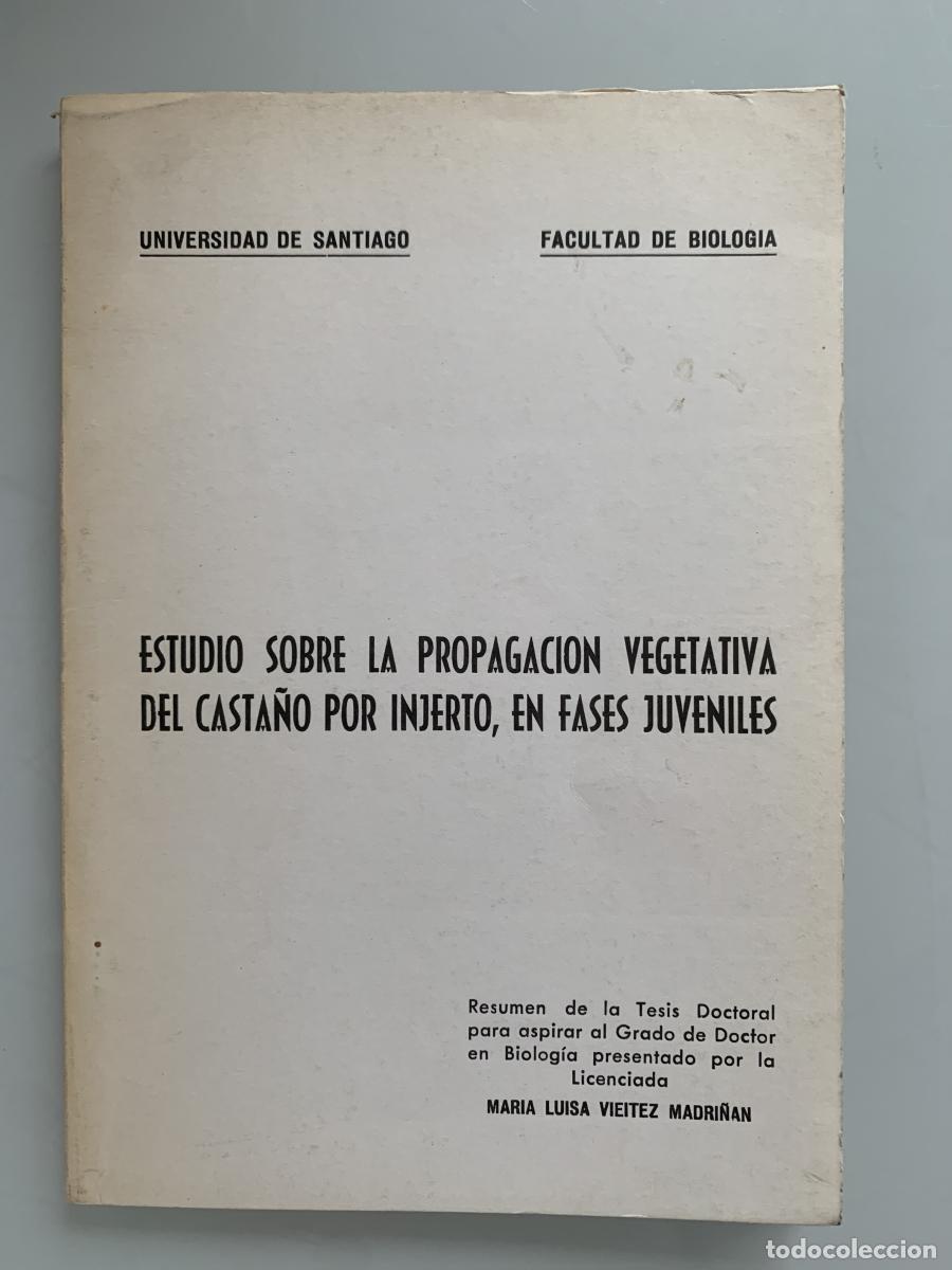 Libros: ESTUDIO SOBRE LA PROPAGACI&Oacute;N VEGETATIVA DEL CASTA&Ntilde;O POR INJERTO, EN FASES JUVENILES - Mar&iacute;a Luisa Vi