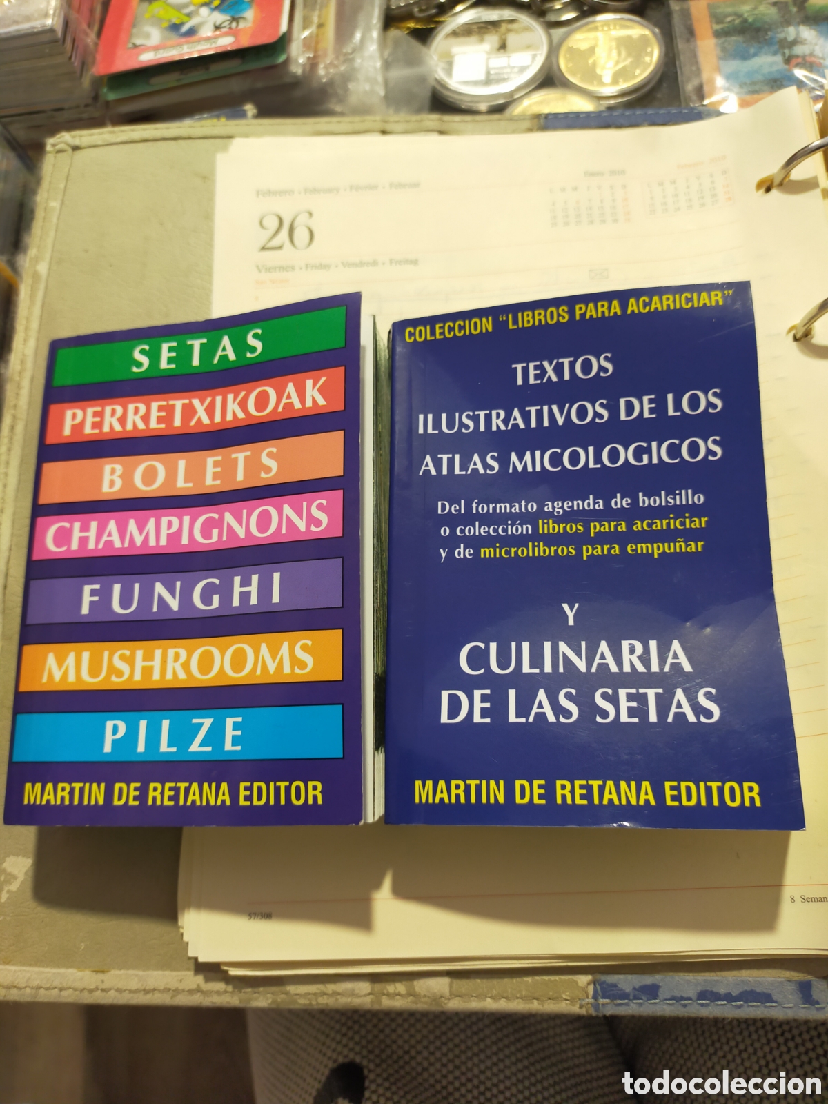 Libros: SETAS PERRETXIKOAK BOLETUS TEXTOS ILUSTRATIVOS DE LOS ATLAS MICOLOGICOS MARTIN DE RETANA GUIAS