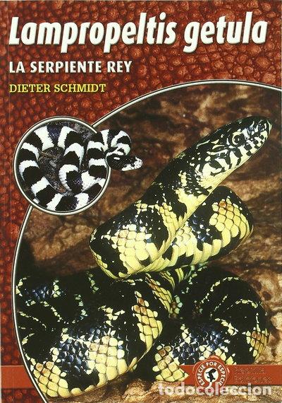 Livros em segunda m&atilde;o: Lampropeltis getula: las serpientes rey- 9788493415075