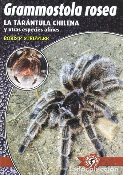 Libros: Grammostola rosea: la tar&aacute;ntula chilena y otras especies afines- 9788493413484