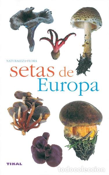 Livres: Setas de Europa- 9788430553358