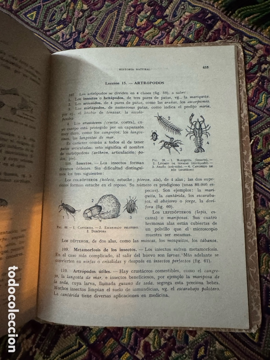 Libros: Enciclopedia Tercer grado edelvives - Foto 7