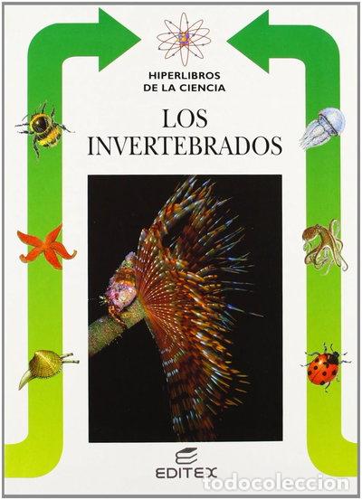 Livros em segunda m&atilde;o: Los invertebrados- 9788471319319
