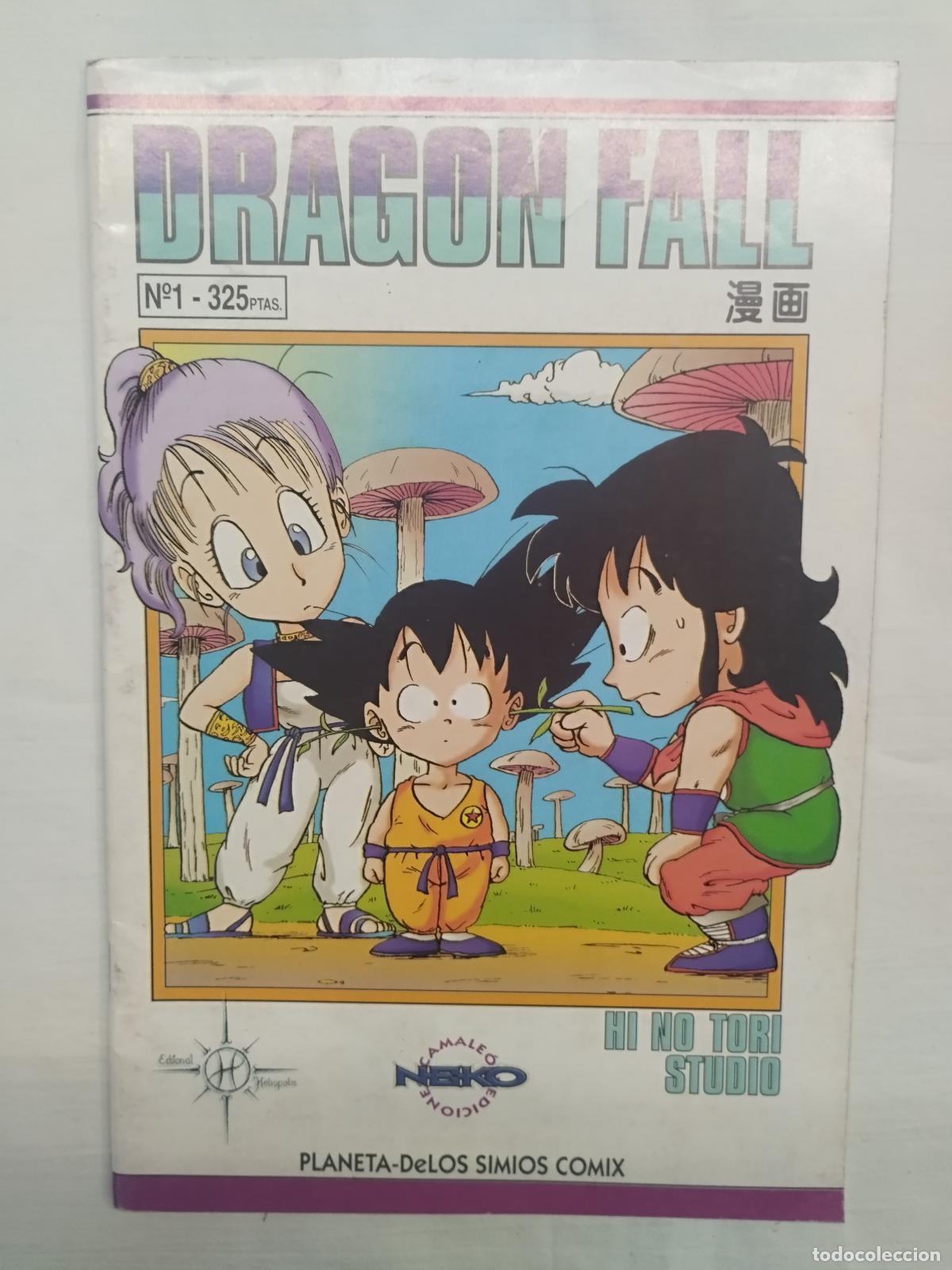 Libros: DRAGON FALL N&ordm;1 - HI HO TORI STUDIO - Foto 1