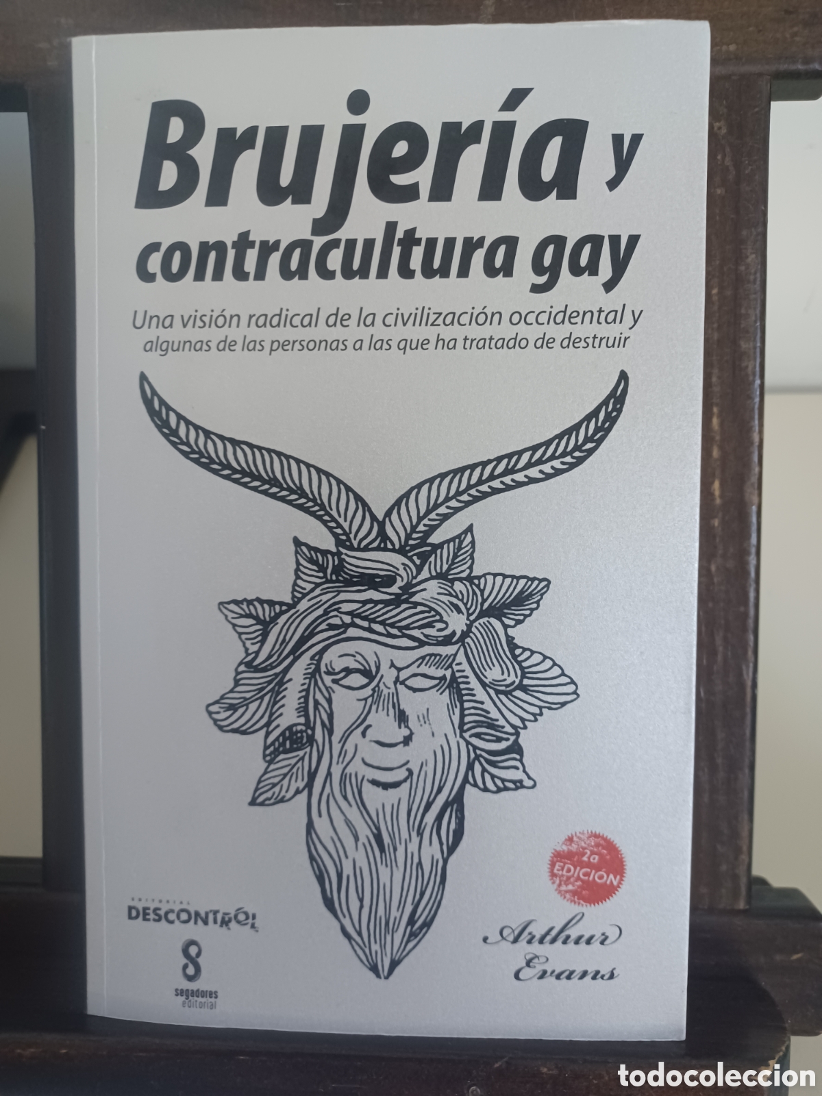Libros: Brujer&iacute;a y contracultura gay/ Arthur Evans/ Descontrol, 2022