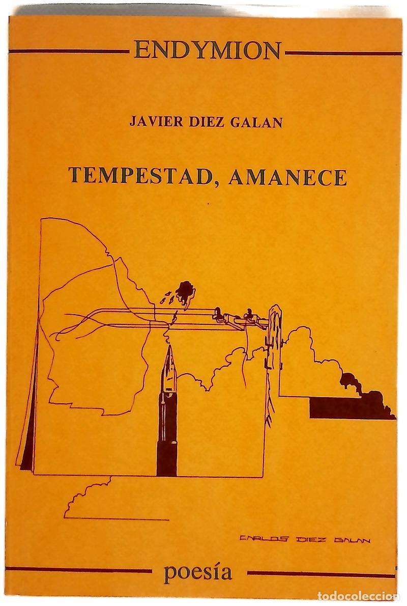 Libros: Tempestad, amanece - D&iacute;ez Gal&aacute;n, Javier