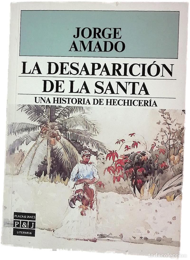 Libros: La desaparaci&oacute;n de la santa