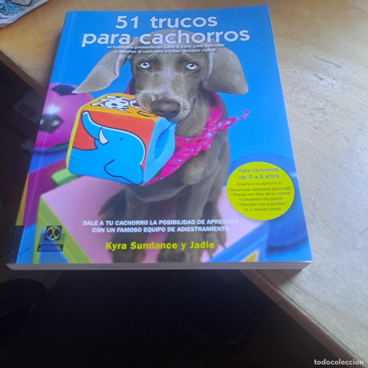 Libros: 51 TRUCOS PARA CACHORROS - ACTIVIDADES PRESENTADAS PASO A PASO PARA ESTIMULAR Y DESAFIAR AL CACHORRO