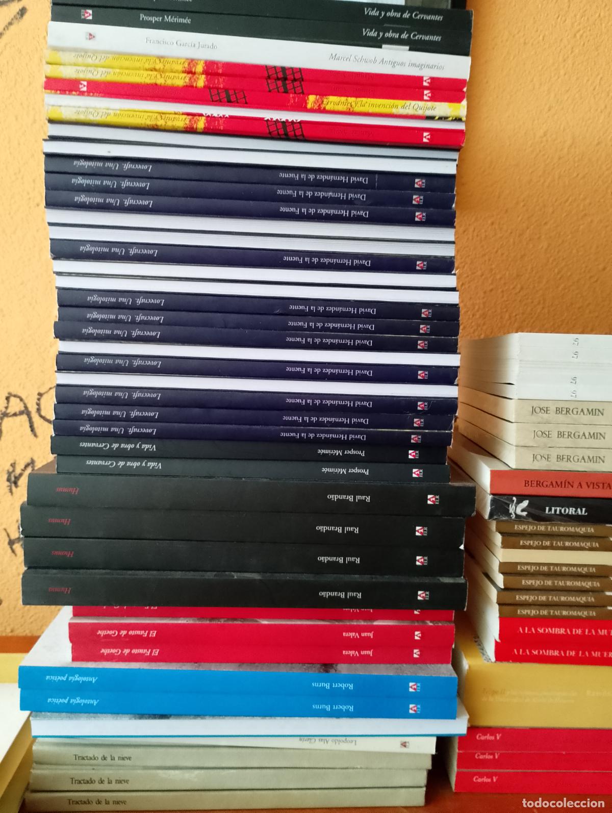 Libros: Lote especial Libros ELR Seacex Turner Allca 60 ejemplares