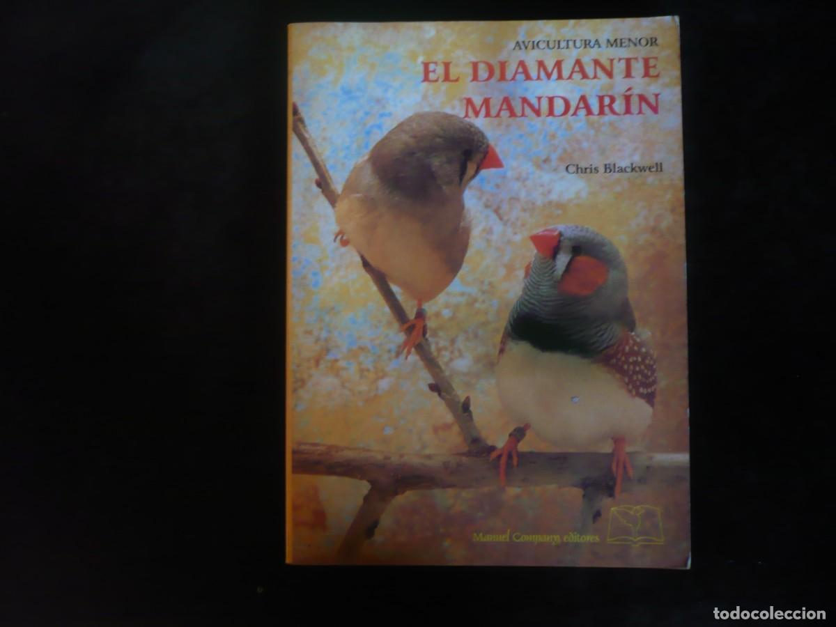 Libros: el diamante mandarin cria y cuidados - chris blackwell
