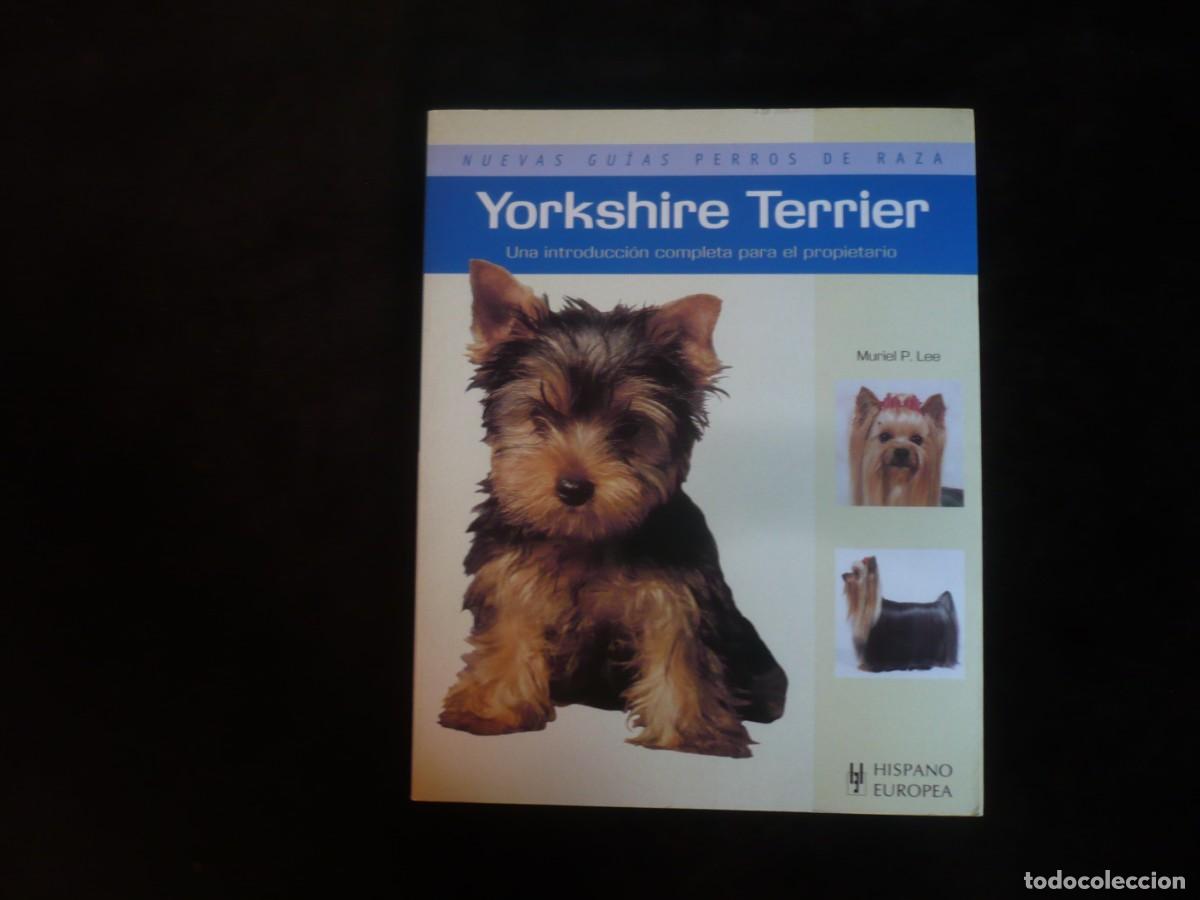 Libros: yorkshire terrier - muriel p. lee - Foto 1