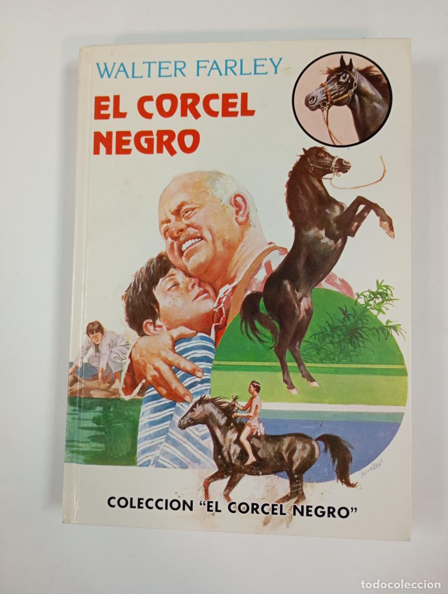 Libros: El corcel negro. El corcel negro 1. - Walter Farley. TDK384