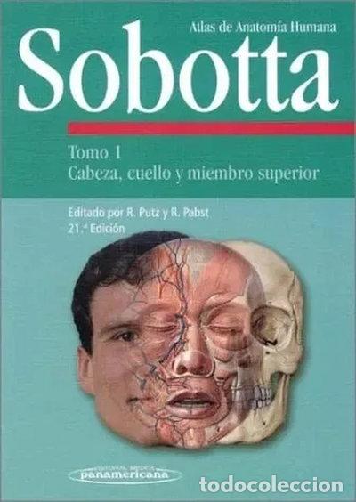 books: Sobotta Tomo 1 Cabeza, Cuello y Miembro Superior- 9788479035310