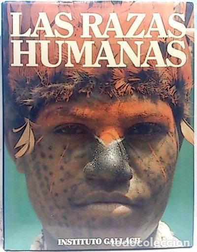 Livres: Las Razas Humanas, Vol.5: El Hombre Prehist&oacute;rico - Tipolog&iacute;a Cultural- 9788477643760