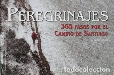 Libros: Peregrinajes. 365 pasos por el Camino de Santiago- 9788497854085
