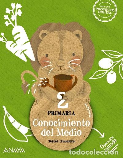 Libros: Conocimiento del Medio 2- 9788414319192