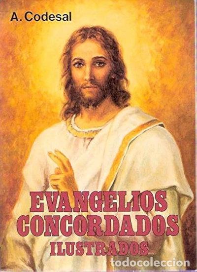 Libros: Evangelios Concordados Ilustrados- 9788477705444