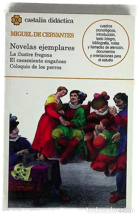 B&uuml;cher: Novelas ejemplares - Cervantes Saavedra, Miguel de; Orejudo, Antonio
