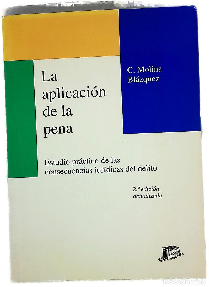 B&uuml;cher: La aplicacion de la pena estudio pr&aacute;ctico de las consecuencias jur&iacute;dicas del delito