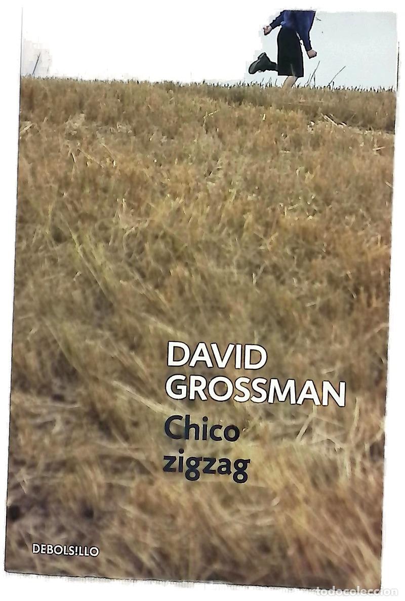 Libros: Chico zigzag - Grossman, David; Lluch i Oms, Roser