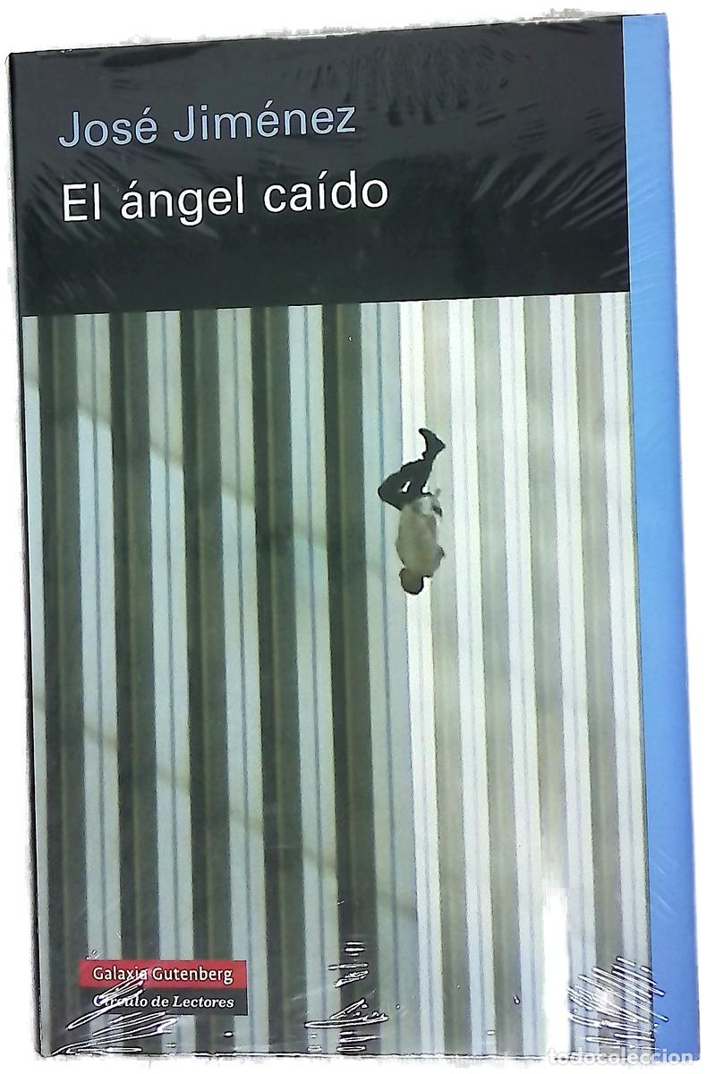 B&uuml;cher: El &aacute;ngel ca&iacute;do la imagen art&iacute;stica del &aacute;ngel en el mundo moderno