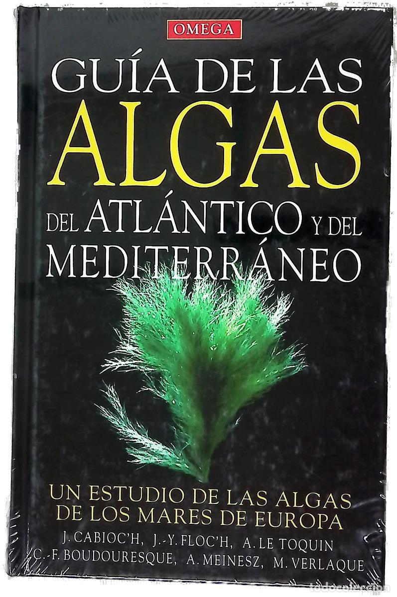 Livres: Gu&iacute;a de las algas del Atl&aacute;ntico y del Mediterr&aacute;neo