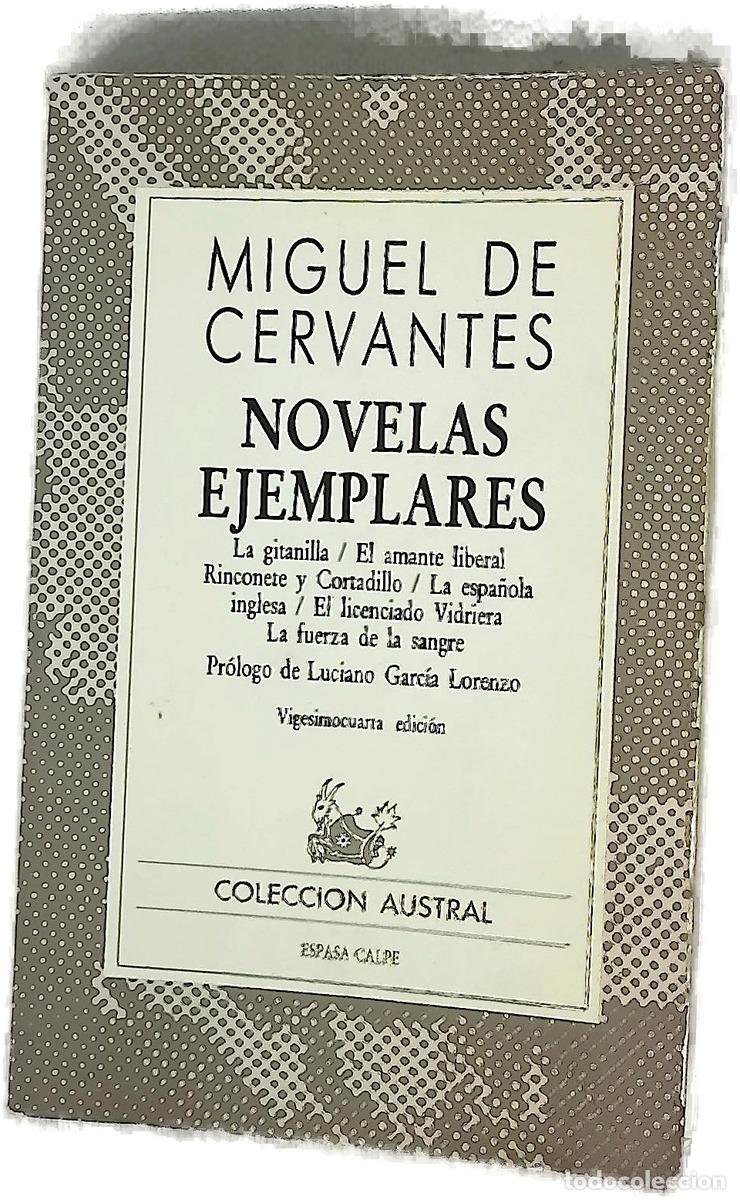 Libri di seconda mano: Novelas ejemplares - Cervantes Saavedra, Miguel de; Garc&iacute;a Lorenzo, Luciano; Men&eacute;ndez Onrubia, Ca...