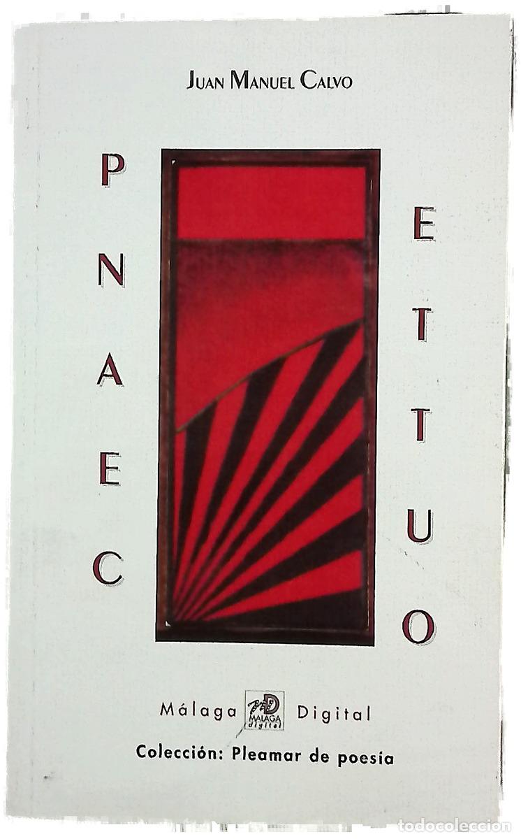 Libri di seconda mano: Pentateuco - Calvo, Juan Manuel